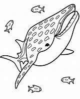 Coloring Whale Pages Water Big Topcoloringpages Blue Animals sketch template