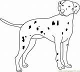 Dalmatian Coloringpages101 Mammals sketch template