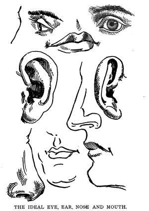eyes ears nose  mouth  ginger human figure drawing eye