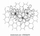 Honeycomb Px sketch template