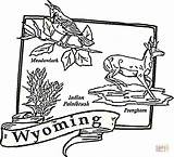 Coloring Wyoming Map Pages State Color Printable Arkansas Usa Drawing Tree Supercoloring Online Dot Getcolorings States sketch template