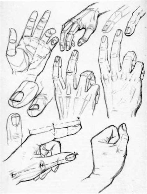draw  human hand repairshe