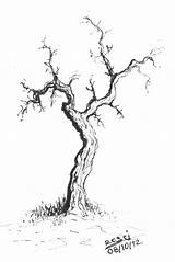 Tree Dead Drawing Creepy Scary Sketch Deviantart Trees Rosci Drawings Draw Dying Line Getdrawings Paintingvalley Sketches Collection sketch template