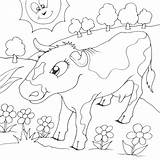 Cow Flowers Field Coloring Seipp Dave Drawn sketch template