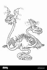 Teste Drago Tre Dragon Foglio Contorno Illustrazione Drachen sketch template