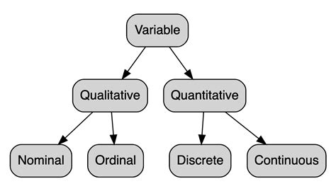 variable types  examples  data science