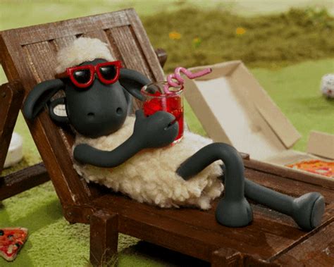 shaun the sheep s find and share on giphy