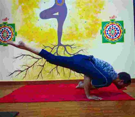 flying lizard pose sadhak anshit yoga foundation  kanpur