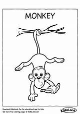 Monkey Coloring Kidloland Printable Kids Worksheets Worksheet Word Pages sketch template