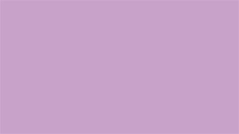 lilac solid color background