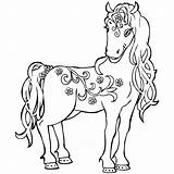 Horse Coloring Pages Pinto Printable Getcolorings Color sketch template
