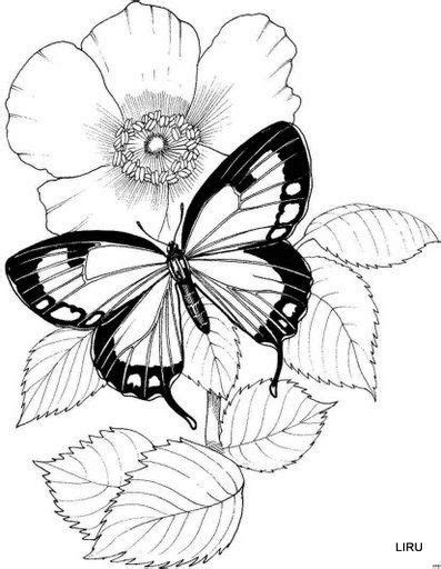 mariposas nuevas butterfly coloring page flower coloring pages