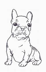 Bulldog Coloring French Pages Terrier Boston Printable Color Drawing West Highland Puppy Print Kids Step Getcolorings Library Nice Draw Clipart sketch template