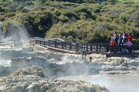 hells gate geothermal park mud spa rotorua attraction