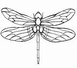 Dragonfly Coloring Drawing Pages Line Wings Drawings Kids Tattoo Color Designs Google Printable Green Colouring Draw Patterns Silhouette Winged Clip sketch template