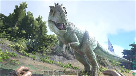 ark survival evolved dinosaurs giganotosaurus  knuxpwnsstuff