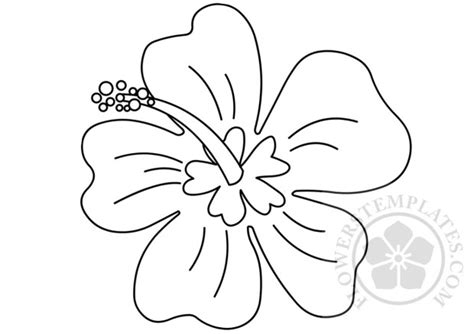 drawing hawaiian flower coloring page flowers templates