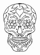 Skull Sugar Coloring Printable Pages Adults Popular sketch template