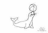 Seal Plays Toys sketch template