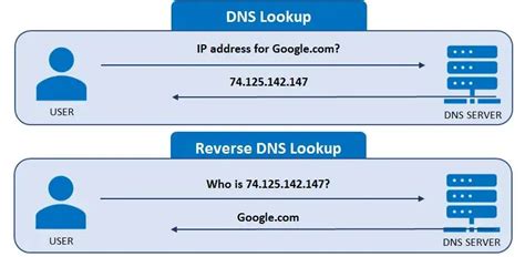 reverse dns lookup whatismyipcom