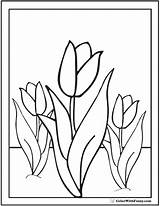 Tulip Flower Coloring Pages Flowers Spring Pdf Sheet Getdrawings Colorwithfuzzy sketch template