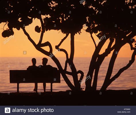 silhouette of two people sitting on a park bench beneath a