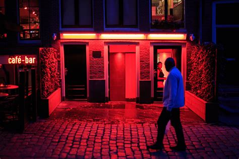 the best amsterdam sex shows strip clubs and sex clubs