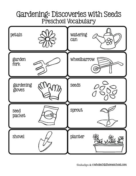 gardening printables   discoveries  seeds unit study
