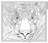 Coloring Pages Difficult Printable Hard Colouring sketch template