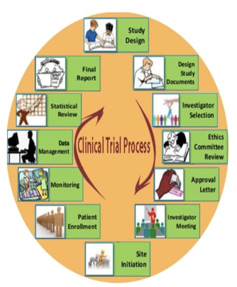 fundamentals  clinical trials phases  clinical trials ccrps