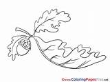 Sheet Colouring Oak Leaf Coloring Title sketch template