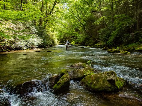 clinton countys fishing creek  picturesque news sports jobs  sentinel