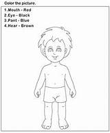 Body Parts Worksheets Worksheet Preschool Clipart Kindergarten Science Kids Coloring Pages Printable Label Human Activities Projects Tracing Football Kid Simple sketch template