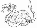 Gopher Coloring Getcolorings Snake sketch template
