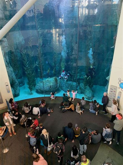 Aquarium Of The Pacific