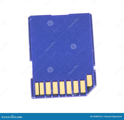 blue memory sd card stock photo image