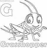 Grasshopper Coloringfolder sketch template