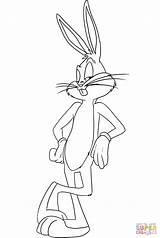 Looney Tunes Conejos Imprimir sketch template