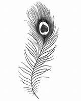 Feather Peacock Drawing Simple Easy Tattoo Line Pencil Feathers Outline Small Sketch Tattoos Designs Step Drawings Crying Getdrawings Eyes Heart sketch template