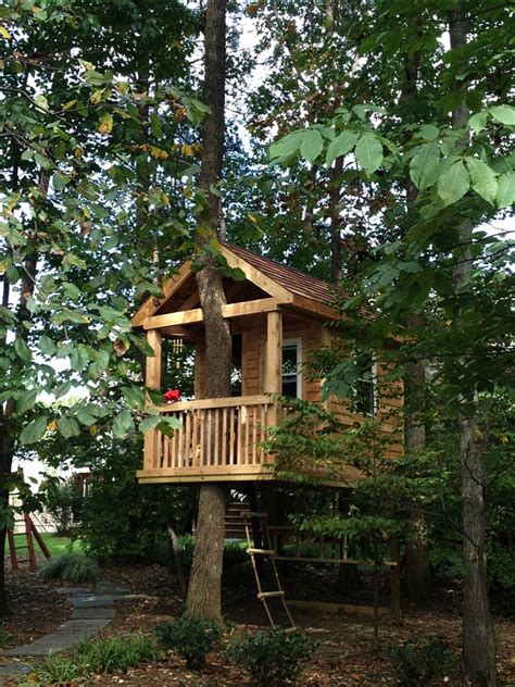 steps  build  perfect treehouse home bunch interior design ideas