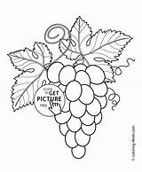 Coloring Grapes Pages Fruits Printable Kids Berries Leaves 4kids sketch template
