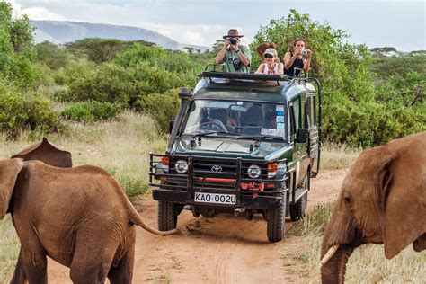 Where To See African Elephants In The Wild Lonely Planet