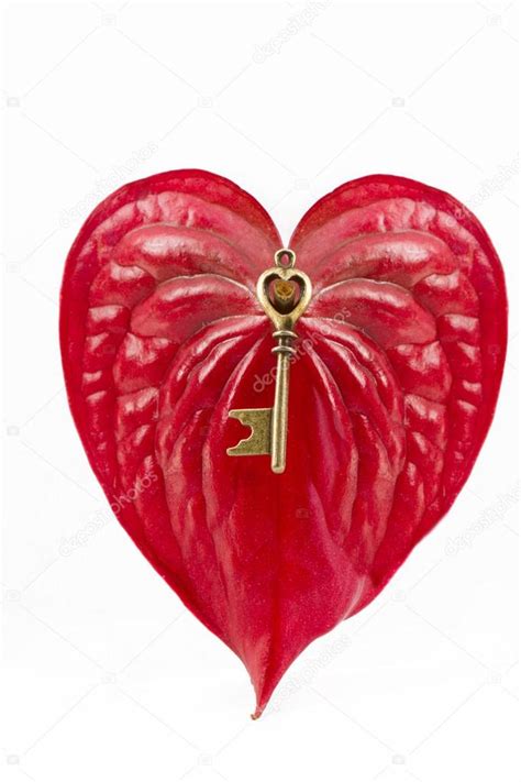 schluessel  form eines herzens rote herzblumen stockfoto  slama