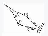 Coloring Swordfish Fish sketch template