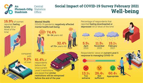 social impact  covid  survey february    cso central statistics office