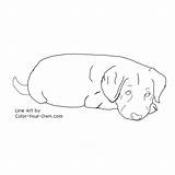 Puppy Labrador Lab Retriever Coloring Dog Pages Color Chocolate Puppies Own Index Line Inkspired Musings Template Answer Below sketch template
