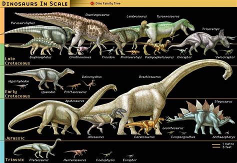 dinosaur facts  records