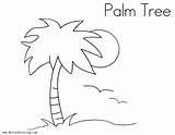 Palm Tree Coloring Pages Printable Adults Kids sketch template