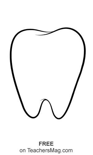 tooth template printable tooth template dental health preschool