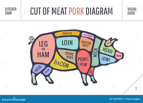 pork cuts diagram  butchery set royalty  vector image sexiz pix